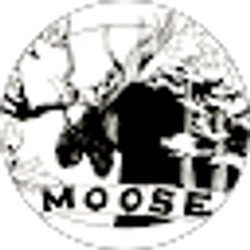 Profile photo of pfdlglass