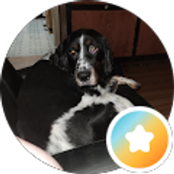 Profile photo of Andrew Goenner (GeekDadRoo)