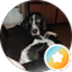 Profile photo of Andrew Goenner (GeekDadRoo)