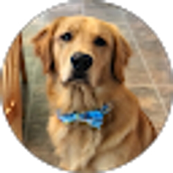 Profile photo of KRD *