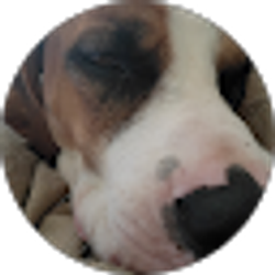 Profile photo of Chuck Finley