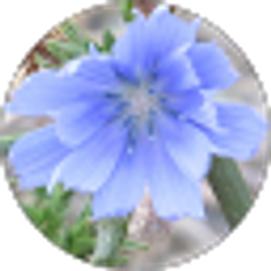 Profile photo of TJ Watkins