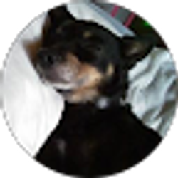 Profile photo of Kimberly Wright