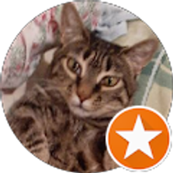 Profile photo of Lee Castilo