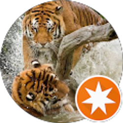 Profile photo of April McGee