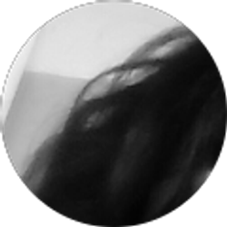 Profile photo of Nelson rivera