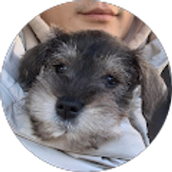 Profile photo of Hongyang Lou