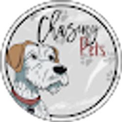 Profile photo of Chasing Pets