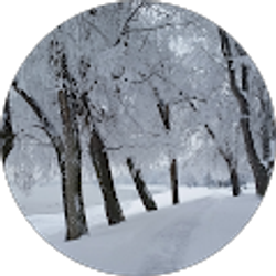 Profile photo of Tami Nida Arntzen