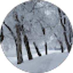 Profile photo of Tami Nida Arntzen