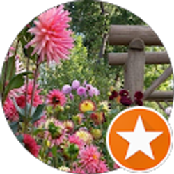 Profile photo of D P