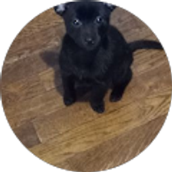 Profile photo of Heidi Dawe