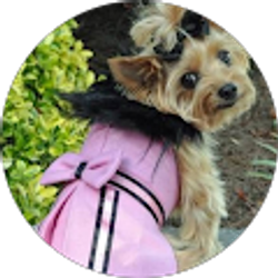 Profile photo of J G