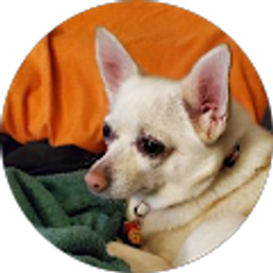 Profile photo of Bonnie Gillespie