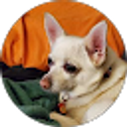 Profile photo of Bonnie Gillespie