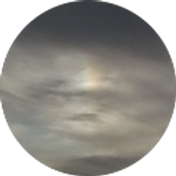 Profile photo of lyette palomino