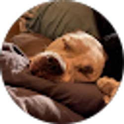 Profile photo of Greg G
