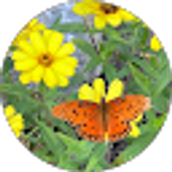 Profile photo of Thompson Family