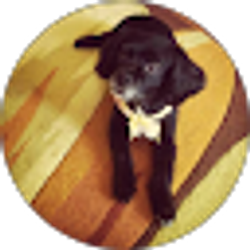 Profile photo of Chris Jones