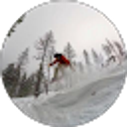 Profile photo of Kevin Satterberg