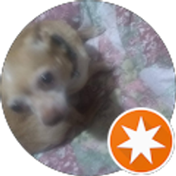 Profile photo of Wayne Wright