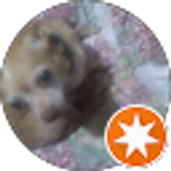 Profile photo of Wayne Wright