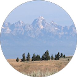 Profile photo of Alec Pipala