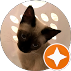 Profile photo of Jaimie Altman