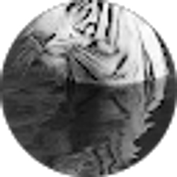 Profile photo of Rocio A