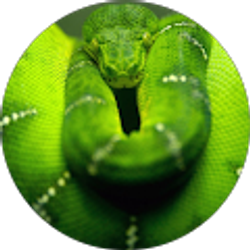 Profile photo of Colton Hards