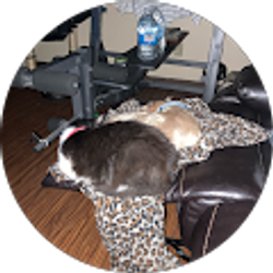 Profile photo of Ironman09