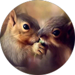 Profile photo of monica glenn