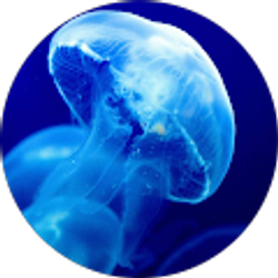 Profile photo of Sarai Blackman