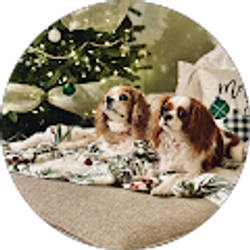 Profile photo of Karen Sochor