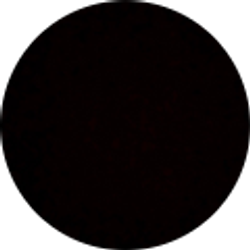 Profile photo of Anthony Berzosa