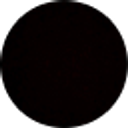 Profile photo of Anthony Berzosa