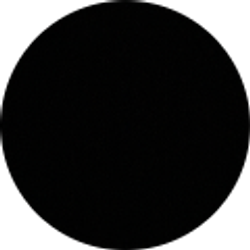 Profile photo of Tommy Ryken