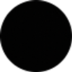 Profile photo of Tommy Ryken