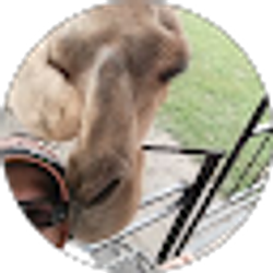 Profile photo of Tony Vance
