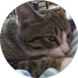 Profile photo of Jennifer Cameron