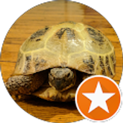 Profile photo of Aster Teter