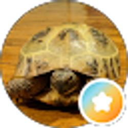 Profile photo of Aster Teter