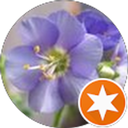 Profile photo of Karin Anderson