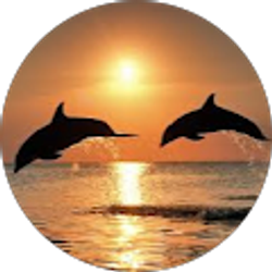 Profile photo of Veronica Balderas