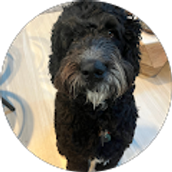 Profile photo of Caroline Wills