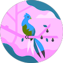 Profile photo of Shenell Chue