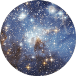 Profile photo of Elizabeth Pacifico