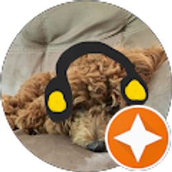 Profile photo of David Grapentine