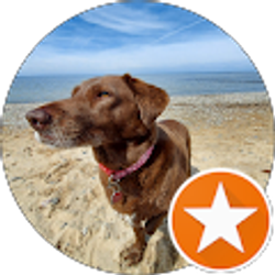 Profile photo of Copper Biggles