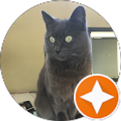 Profile photo of Charles Gangel